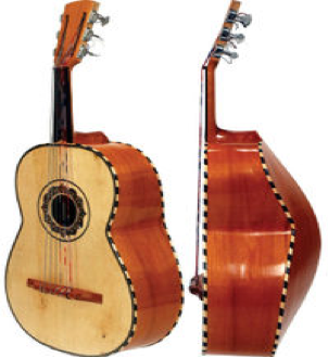 Penelope magnification society Guitarrón Mexicano – Traditional Instruments of the World